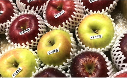 7-012-022　最北の3～5種りんご食べ比べ≪千果園≫11月上旬～1
