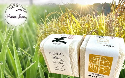 7-008-010　新米・真空パックキューブ米＜無洗米＞ 食べ比べ