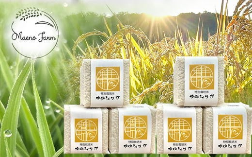 7-020-016　新米・真空パックキューブ米＜無洗米＞ ゆめぴり