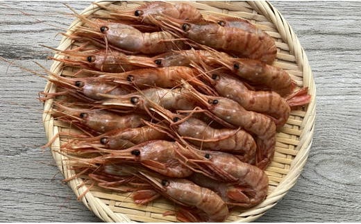 7-010-001　ましけのボタンエビ 700g（350g×2）