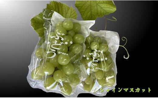 7-014-026　サトケンさんのシャインマスカット2kg（2～3房）