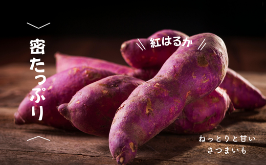 7-005-007　さつまいも（紅はるか）2kg【マルゼン佐藤果樹園