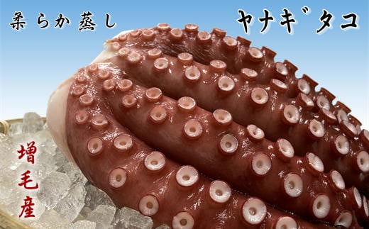 7-010-006　柔らか蒸しヤナギタコ 1kg