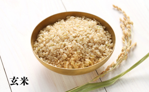 7-012-053　【玄米】新米・増毛町産ななつぼし 5kg（10月～発