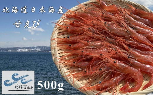 7-010-033　冷凍甘えび 500g（約40尾）