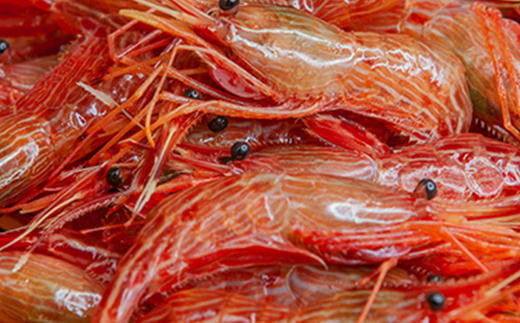 7-020-022　冷凍しまえび 1kg（60尾～80尾）