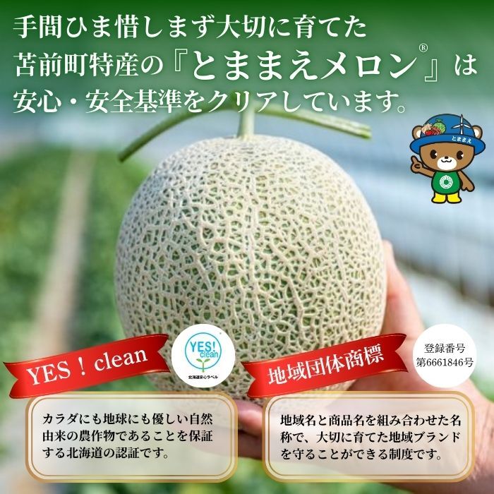 【2026年7月中旬から発送】とままえメロン 2玉 計3.2kg前後 大玉サイズ 北海道産 先行 予約 受付 赤肉 甘い 糖度14度 旬 産地直送 めろん フルーツ 果物 デザート 北海道 苫前町 とままえ rum09