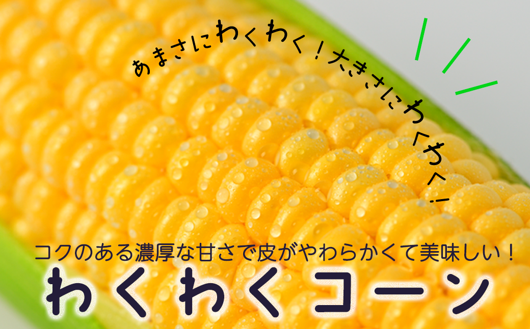 【令和8年産先行受付】北海道とままえ産スイートコーン　7本 （先行予約　北海道産　とうもろこし　とうきび　朝どれ　朝もぎ　旬　新鮮　送料無料　冷蔵）