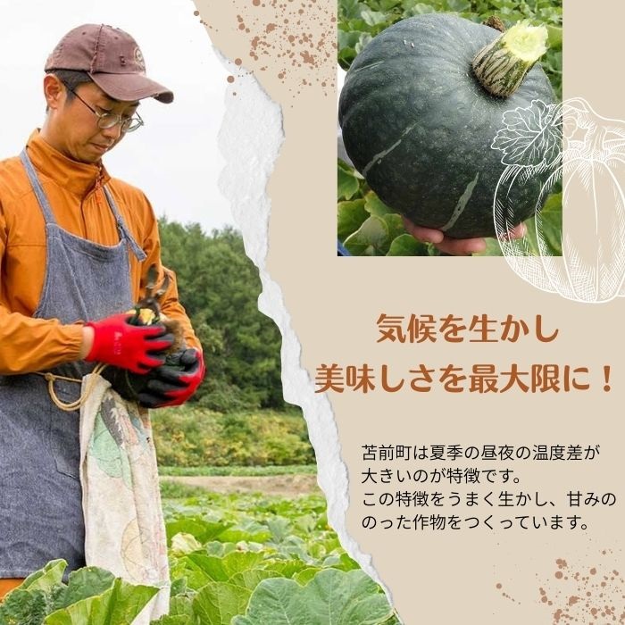 【NHKあさイチで紹介されました！】上田ファームのかぼちゃ団子（あんこ）300g×3 北海道産かぼちゃ使用 カボチャ だんご 国産 手作り おかず おやつ スイーツ 軽食 冷凍 南瓜 郷土料理 北海道 苫前町 とままえ ued04