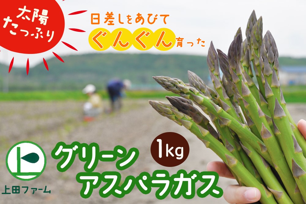 【令和8年産先行受付】上田ファームのグリーンアスパラガス　1kg　《数量限定》