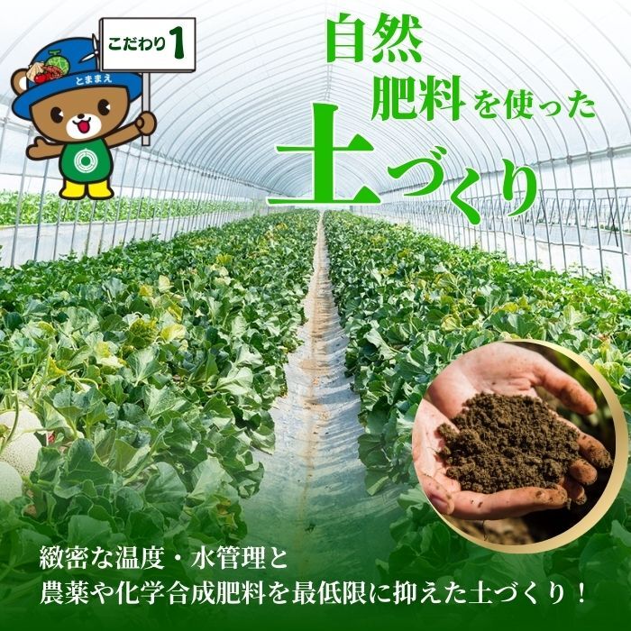 【2026年7月中旬から発送】とままえメロン 2玉 計3.2kg前後 大玉サイズ 北海道産 先行 予約 受付 赤肉 甘い 糖度14度 旬 産地直送 めろん フルーツ 果物 デザート 北海道 苫前町 とままえ rum09