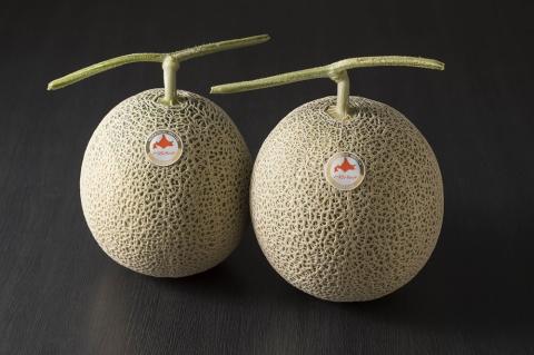 【令和8年産先行受付】とままえメロン　2玉（先行予約　北海道産　赤肉　糖度14度　甘い　フルーツ　果物　デザート　送料無料）