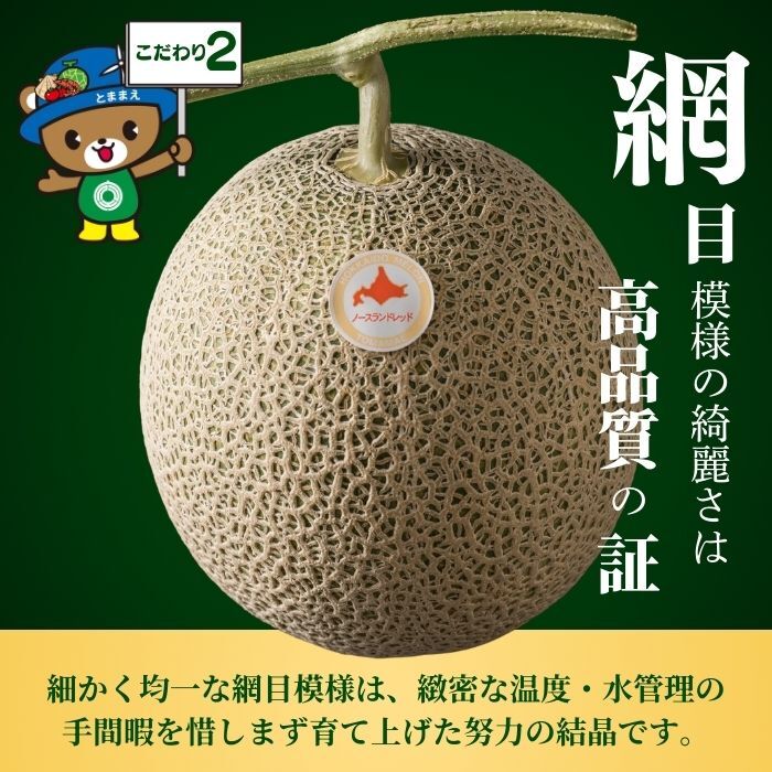 【2026年7月中旬から発送】とままえメロン 2玉 計3.2kg前後 大玉サイズ 北海道産 先行 予約 受付 赤肉 甘い 糖度14度 旬 産地直送 めろん フルーツ 果物 デザート 北海道 苫前町 とままえ rum09