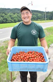 【食品添加物不使用】ミニトマトそのまんまのジュース 180ml×10本