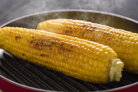 【令和8年産先行受付】北海道とままえ産スイートコーン　約15本（先行予約　北海道産　とうもろこし　とうきび　朝どれ　朝もぎ　旬　新鮮　送料無料　冷蔵）