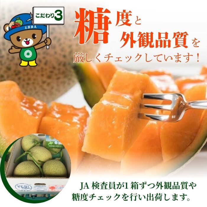 【2026年7月中旬から発送】とままえメロン 2玉 計3.2kg前後 大玉サイズ 北海道産 先行 予約 受付 赤肉 甘い 糖度14度 旬 産地直送 めろん フルーツ 果物 デザート 北海道 苫前町 とままえ rum09