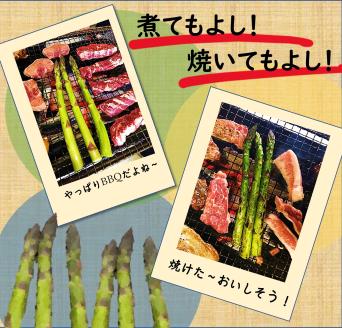 【令和8年産先行受付】上田ファームのグリーンアスパラガス　1kg　《数量限定》