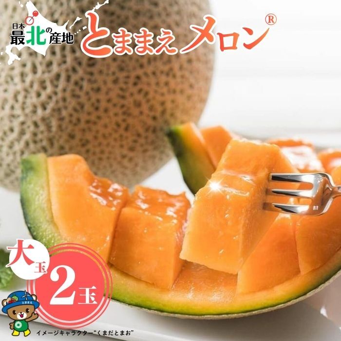 【2026年7月中旬から発送】とままえメロン 2玉 計3.2kg前後 大玉サイズ 北海道産 先行 予約 受付 赤肉 甘い 糖度14度 旬 産地直送 めろん フルーツ 果物 デザート 北海道 苫前町 とままえ rum09