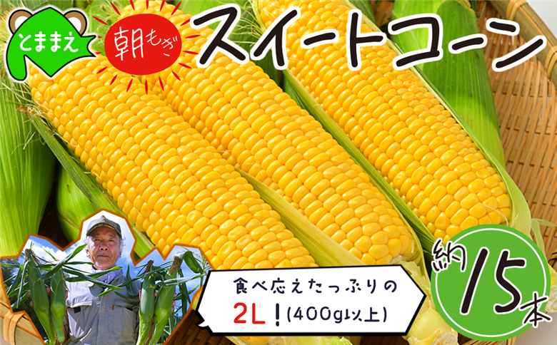 【令和8年産先行受付】北海道とままえ産スイートコーン　約15本（先行予約　北海道産　とうもろこし　とうきび　朝どれ　朝もぎ　旬　新鮮　送料無料　冷蔵）