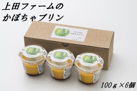 上田ファームのかぼちゃプリン　100g×6個