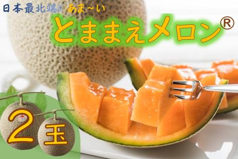 【令和8年産先行受付】とままえメロン　2玉（先行予約　北海道産　赤肉　糖度14度　甘い　フルーツ　果物　デザート　送料無料）