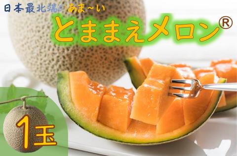 【令和8年産先行受付】とままえメロン　1玉（先行予約　北海道産　赤肉　糖度14度　甘い　フルーツ　果物　デザート　送料無料）