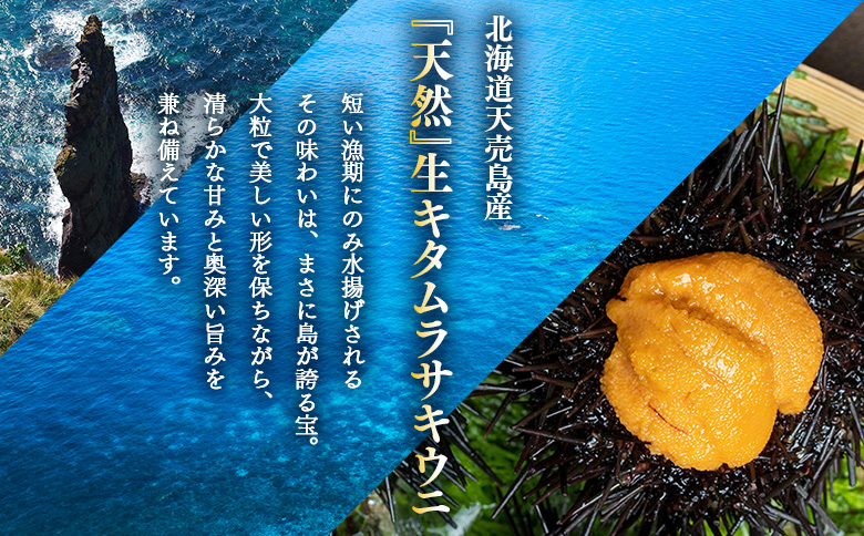 【北海道 天売島産】 ★2026年先行予約★ 天然 キタムラサキうに 塩水パック 100g×1パック【31001】