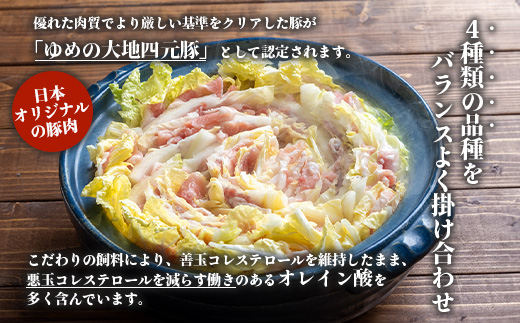 北海道ゆめの大地　四元豚　豚バラ　スライス 200g×5P【27004】