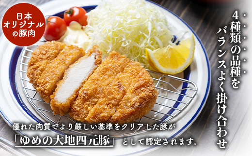 北海道ゆめの大地　四元豚　豚ロース　ブロック1kg【27007】