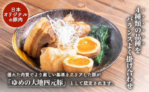 北海道ゆめの大地　四元豚　豚バラ　ブロック1kg【27008】