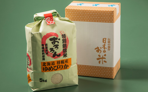 【2025年産】 【定期便：6回】 北海道羽幌産 特別栽培米 ゆめぴりか5kg【0811302】