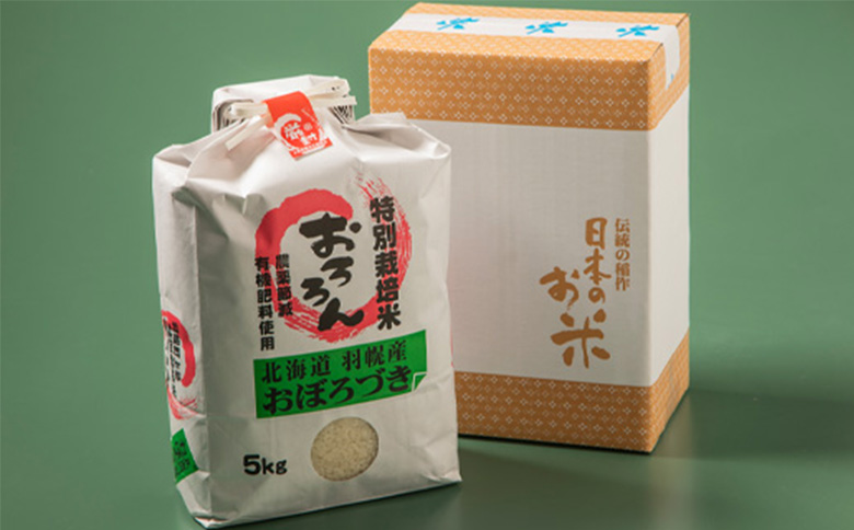 ★６月以降発送★【2025年産】 【定期便：6回】 北海道羽幌産 特別栽培米 おぼろづき5kg【0811402】