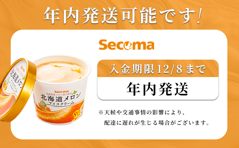 【Secoma】北海道アイスクリーム6個セット 3種×各2個（バニラ・メロン・チョコ）【01106】