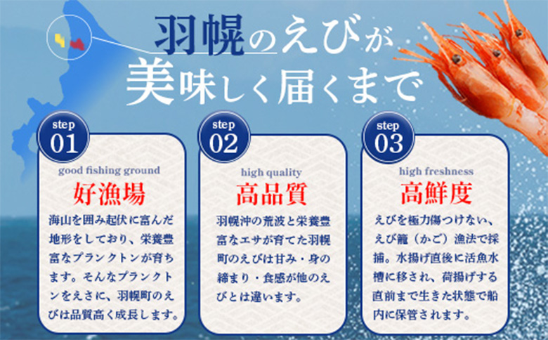 お刺身用甘えび（500g×2袋）・味付けかずのこ（140g×4パック）セット【05123】