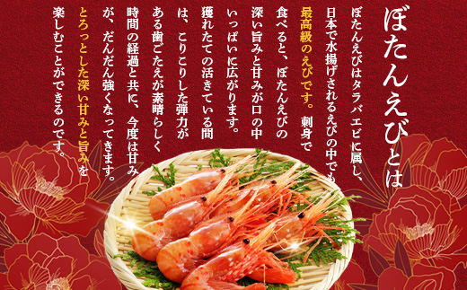 【訳あり】 ぼたんえび 1kg （小サイズ）【0512402】