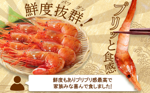 超速リキッド凍結でドリップゼロ！北海道羽幌産生鮮ぼたんえび 600g【0311801】 600g（200g×3パック）