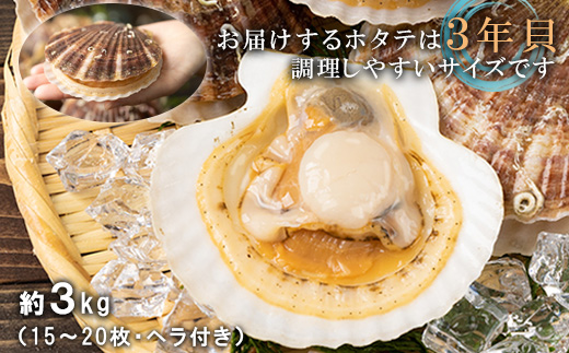 【予約受付開始！】北海道 羽幌町産 殻付き活ホタテ 約3kg（15～20枚・ヘラ付き）【0910203】