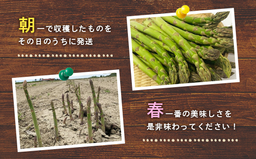 【2026年 先行予約！】【朝採り発送】うえさかさんの露地アスパラ スペシャル 1.5kg【20101】