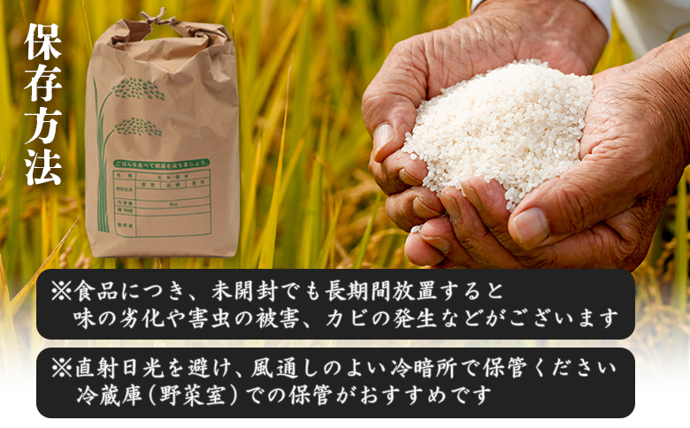 【新米予約】 2026年産 ゆめぴりか 20kg（5kg×4袋）【2010301】