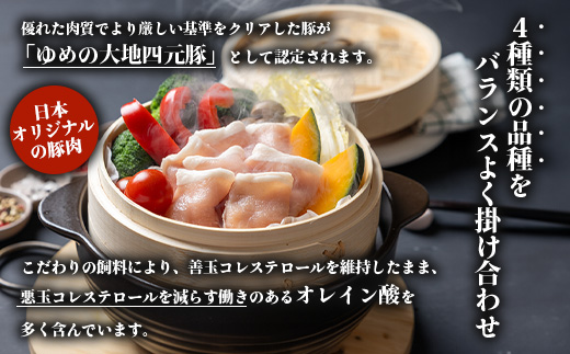 北海道ゆめの大地　四元豚　豚ロース　スライス 200g×5P【27001】