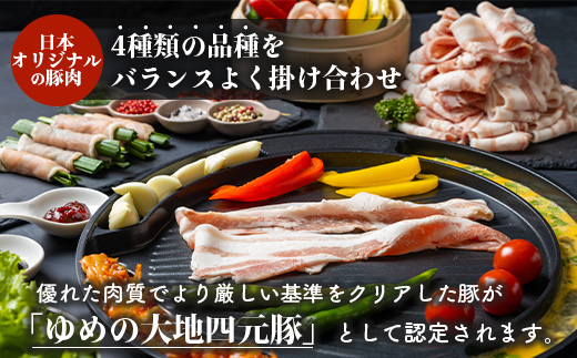 北海道ゆめの大地　四元豚　豚バラエティセット（ロース200g×5P・バラ200g×5P）【27009】