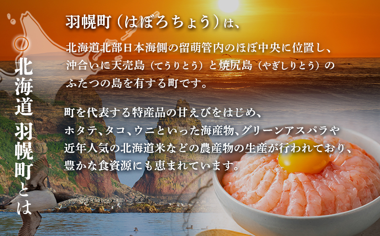 北海道羽幌町への応援寄付　返礼品なし　1口 2,000円【99001BA0101】
