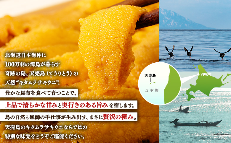【北海道 天売島産】 ★2026年先行予約★ 天然 キタムラサキうに 塩水パック 100g×1パック【31001】