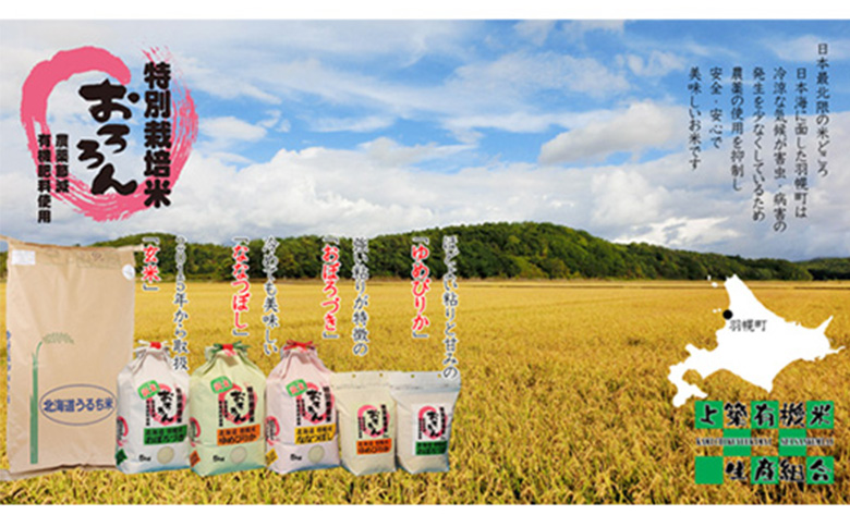 ★６月以降発送★【2025年産】 【定期便：3回】 北海道羽幌産 特別栽培米 ゆめぴりか5kg【0812502】