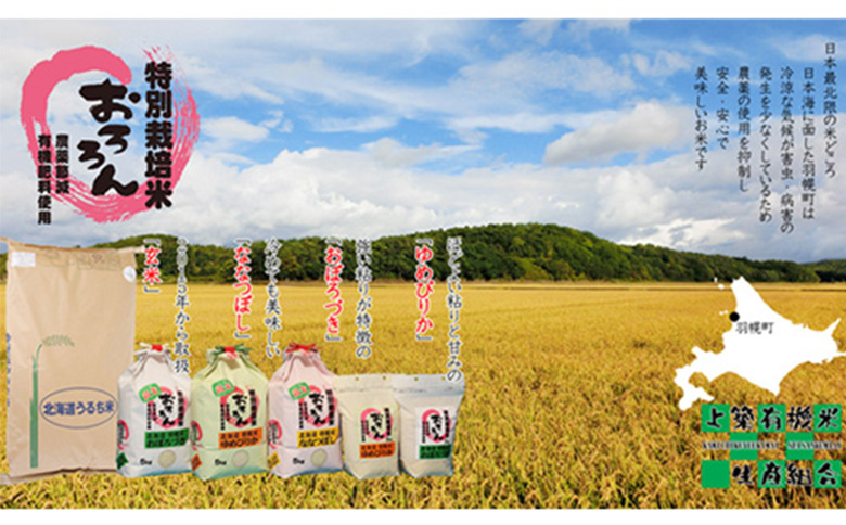 ★６月以降発送★【2025年産】 【定期便：6回】 北海道羽幌産 特別栽培米 ななつぼし5kg【0811502】