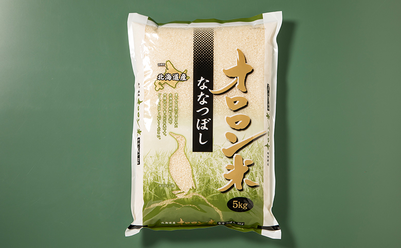 【2025年産】【定期便：4回】北海道羽幌産オロロン米ななつぼし10kg【0411001】