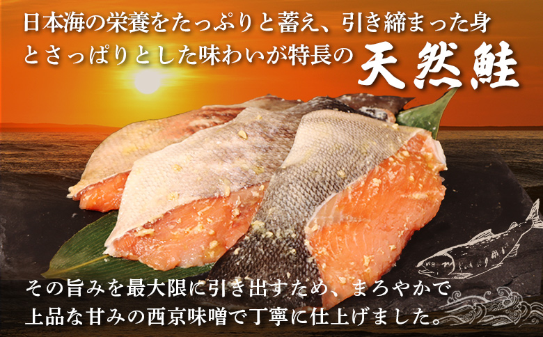 【選べる内容量！】【北海道産】厚切り天然鮭西京漬け 計8枚（4枚×2パック）【02173】 4枚×2パック