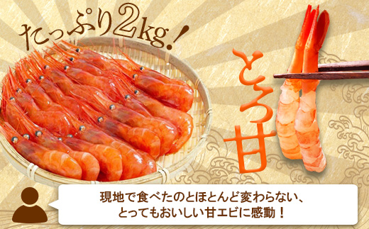 《12月22日までのご入金で年内発送！》【おまとめ配送】超速リキッド凍結でドリップゼロ！北海道羽幌産生鮮甘えび2kg（200g×10パック）【0312001】 2kg（200g×10パック）