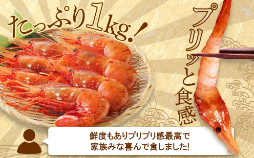 超速リキッド凍結でドリップゼロ！北海道羽幌産生鮮ぼたんえび 1kg【0311901】 1kg（200g×5パック）