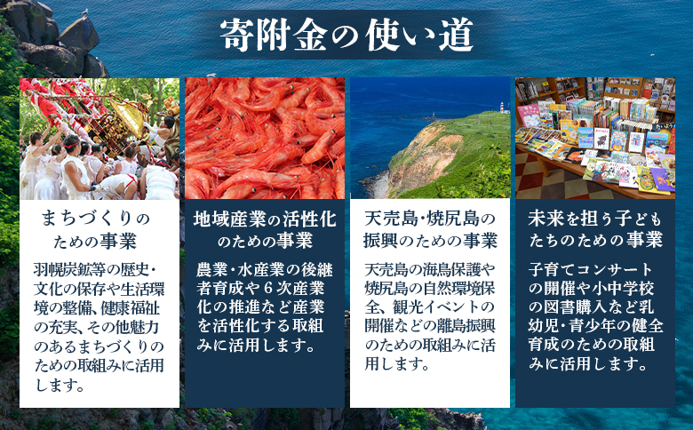 北海道羽幌町への応援寄付　返礼品なし　1口 2,000円【99001BA0101】